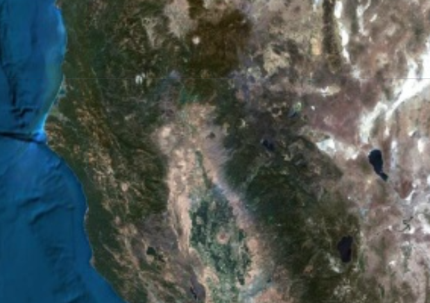 Water is a deep blue, while land is depicted as any of the following: brown, green, white, etc.